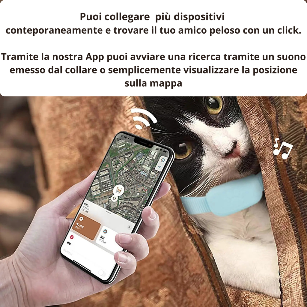 Collari GPS per cani e gatti ,Collare multifunzionale per animali domestici.Collari GPS intelligenti. Accessori per animali domestici. Compatibile con Android  e iOS