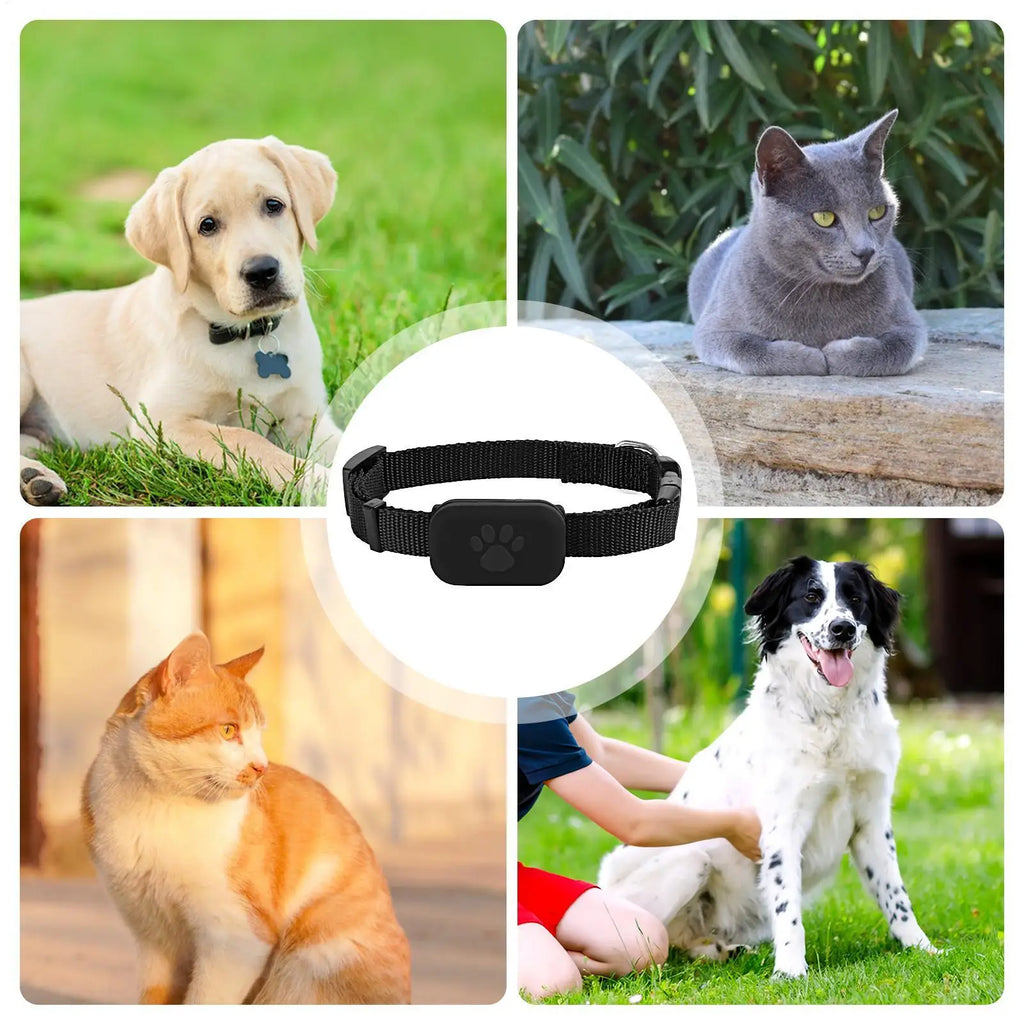 Collari GPS per cani e gatti ,Collare multifunzionale per animali domestici.Collari GPS intelligenti. Accessori per animali domestici. Compatibile con Android  e iOS